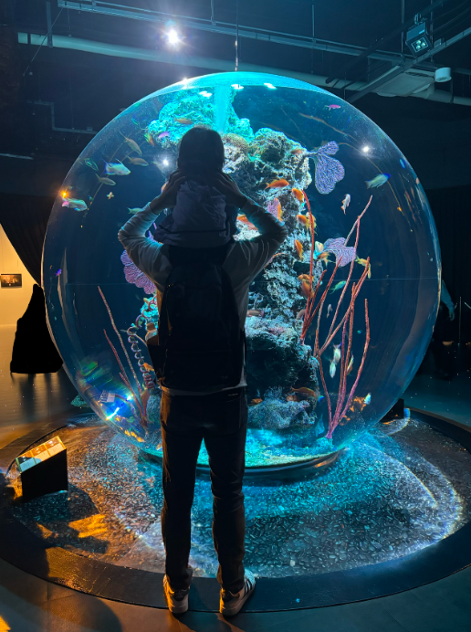 atoaの球体水槽「AQUA TERRA」を見る娘と夫