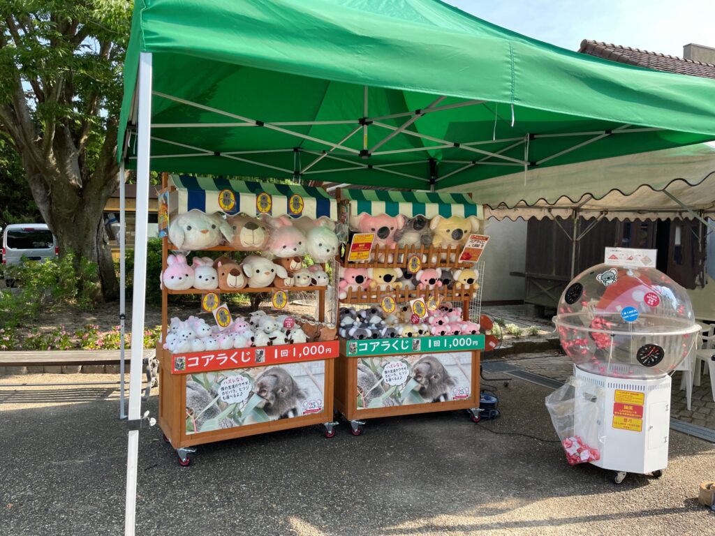 コアラくじ