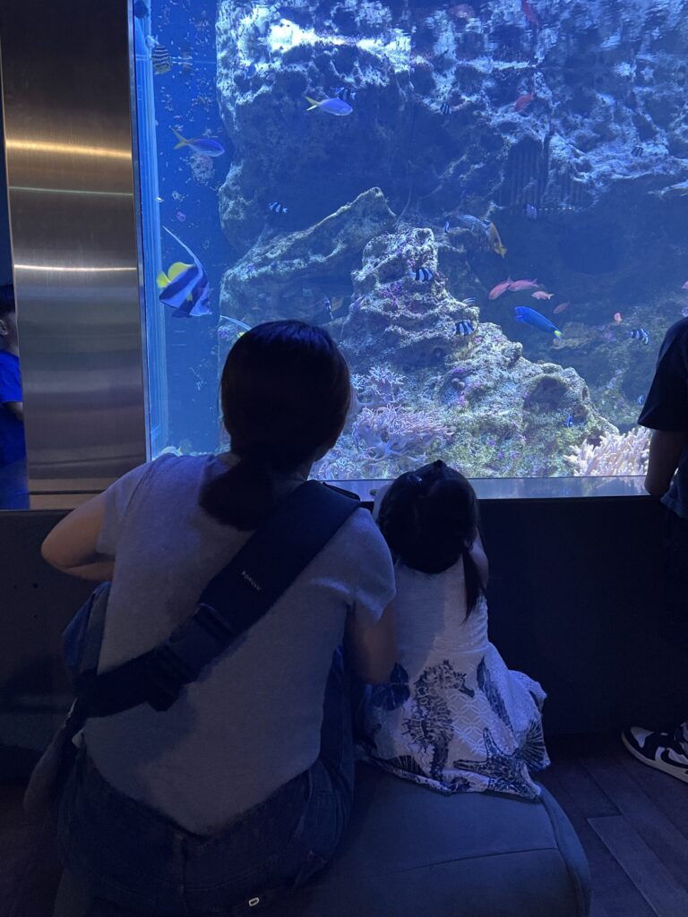 「みなとやま水族館」の水槽①