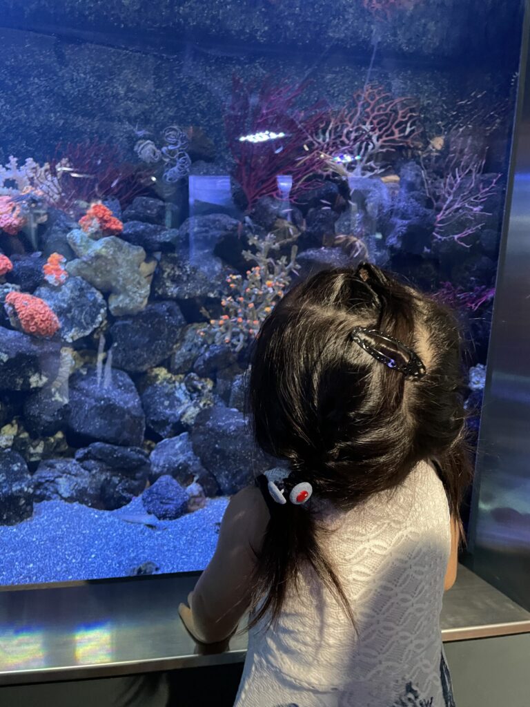 「みなとやま水族館」の水槽②