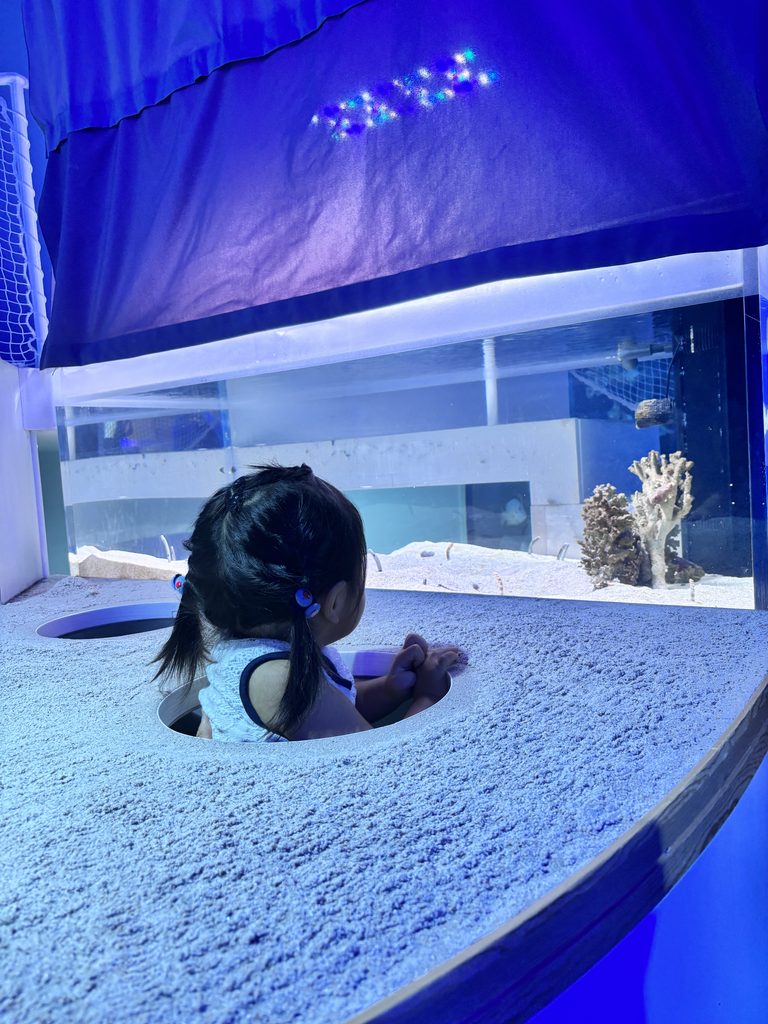 「みなとやま水族館」の水槽③